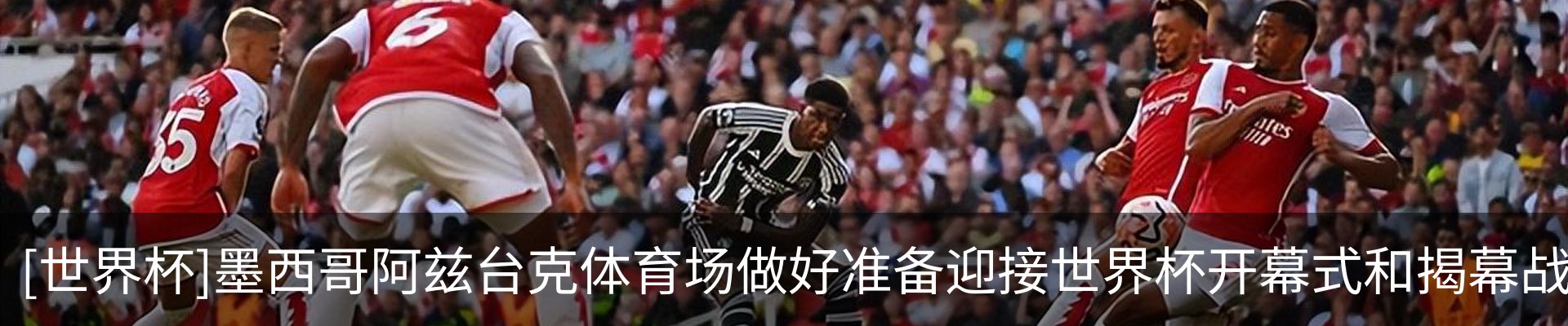 最新动态